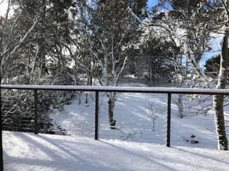 Narrow Neck Views - Peaceful 4 Bedroom Home With Stunning Views! Katoomba Dış mekan fotoğraf